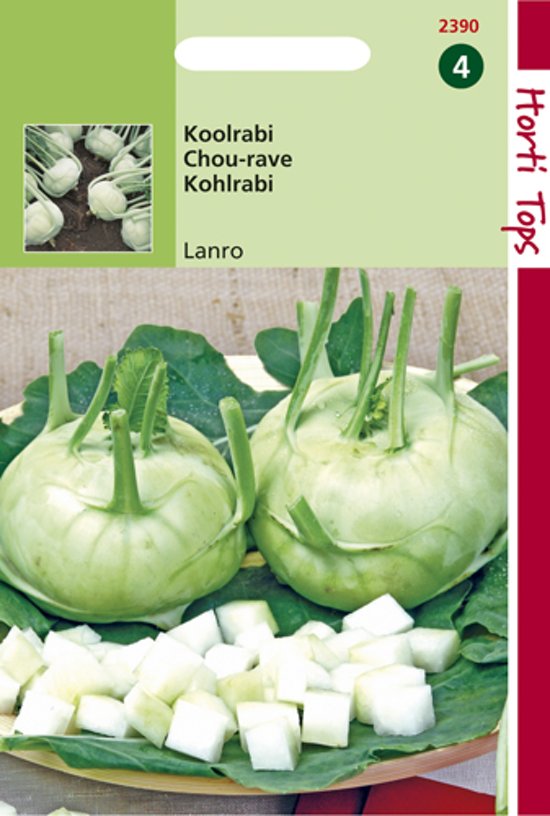 Kohlrabi Lanro (Brassica) 450 Samen